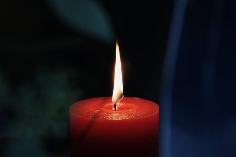 Plant-Based Candles
